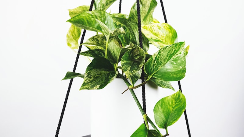 体育新闻资讯配图 - 记者在球场边报道